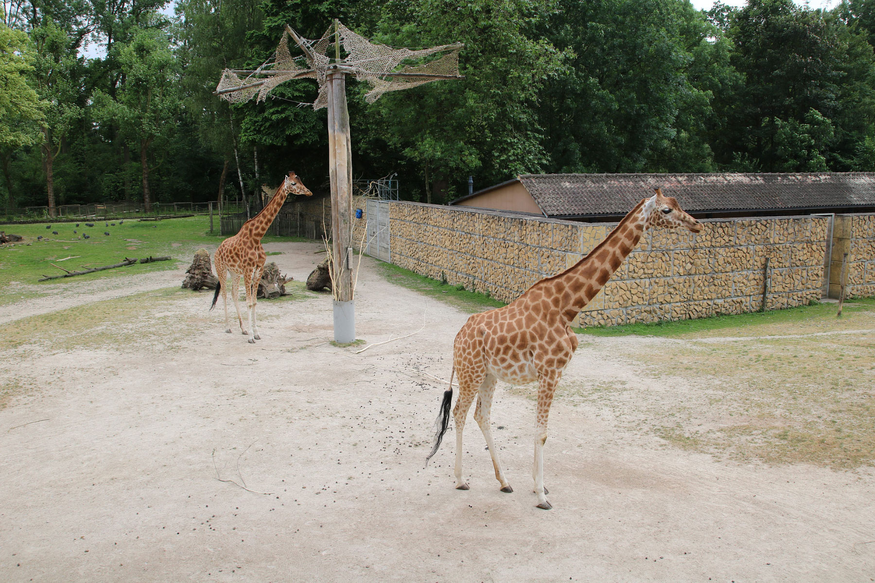 Dierenpark Planckendael